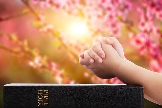 Christian person hands hold Holy Bible book