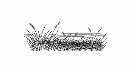 Obraz premium Line drawing of tall grass with seed heads by a calm body of water