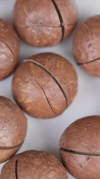 Macadamia nuts on bright background. Highresolution photographic image portraying whole macadamia nuts with detailed cracking patterns and natural brown exterior