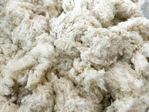 Pile of Raw Wool Fiber in Textile Spinning Mill for Yarn Production