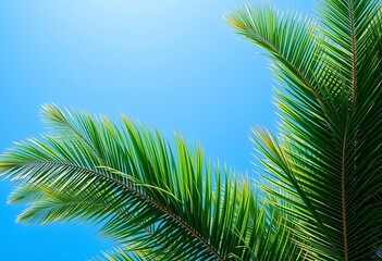 Naklejka premium Lush green palm tree against a vibrant blue sky, botanical, relaxation