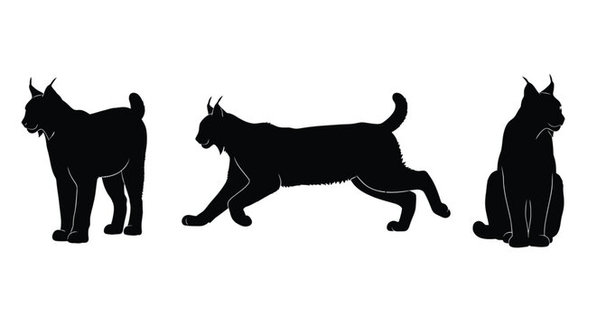 Three black silhouettes of lynx cats in various poses