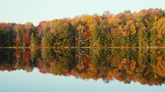  flowing water on lake surface at sunrise, cinematic ripples and golden reflections with colorful autumn forest background