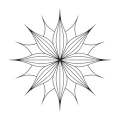 Obraz premium Vector of a stylized flower with sharp petals
