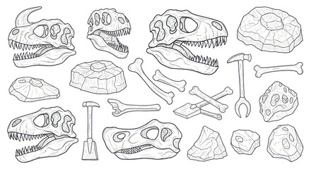 Dinosaur Skeletons and Fossils Collection - Paleontology Illustration © nia