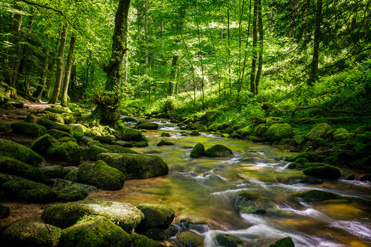 Geroldsau waterfall with moos and green forest nationalpark Blackforest schwarzwald