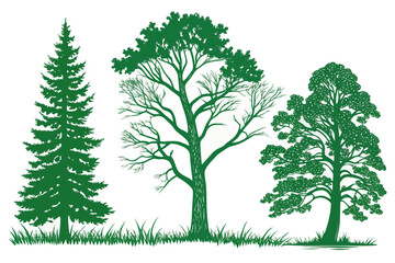 Nature inspired vector graphic design featuring a beautiful evergreen pine, a deciduous tree, and lush green grass elements.