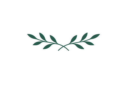 Minimal botanical leaf divider icon