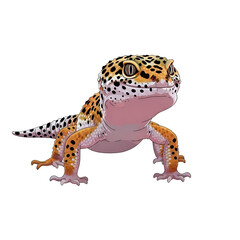 Obraz premium Colorful Leopard Gecko Closeup Portrait.