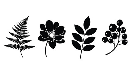 A minimalist black and white botanical illustration showcases a fern anemone leaf and berry branch high quality professional detailed © Asikder02