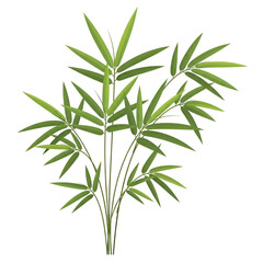 Fototapeta premium Green Bamboo Plant Leaves Closeup.