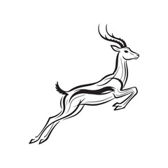 A drawing of an antelope with large horns © SI