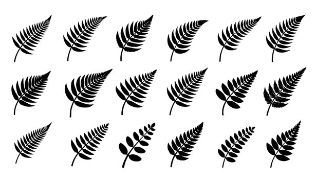 New Zealand Silver Fern Icon Set Black Fern Leaf Emblem Vector Collection