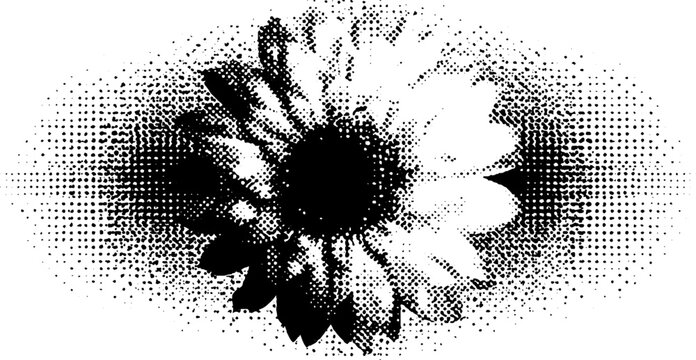 Black and white halftone sacred geometry flower of life design for art and prints