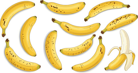 Banana collection set. Ripe yellow bananas and peeled banana illustration. Fresh tropical fruit elements for healthy food, smoothie ingredients and organic diet design. © HELEN QUEEN