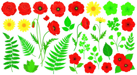 Obraz premium Vibrant Floral Elements: Poppies, Daisies, Ferns, and Leaves Collection
