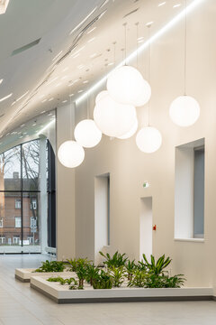 Modern hospital atrium interior with large windows and minimalist architecture.