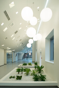 Modern hospital atrium interior with large windows and minimalist architecture.