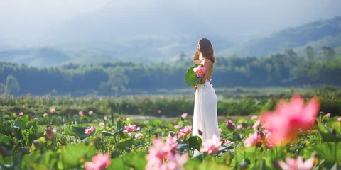 Fototapeten Lotusblume Epic Lotus Field Portrait At Tra Ly Pond, Thai Binh Vietnam At Sunrise  © Buyanskyy Production