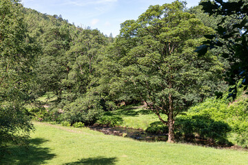 Obraz premium The valley of the River Dane at in the Peak District National Park at Gradbach near Quarnford, Staffordshire, England UK