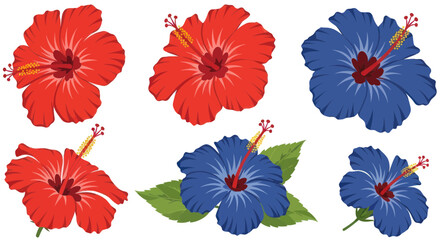 Vibrant Hibiscus Flowers: Red and Blue Tropical Blooms Collection © zui