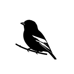 Obraz premium Bird silhouette: A stylized silhouette of a perched bird, with a minimalist design, ready to take flight, embodying freedom and grace.