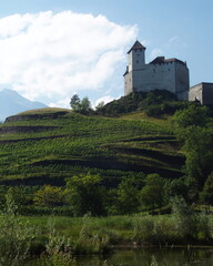 Fototapeta premium Gutenberg castle overseeing vineyard terraces and the alps