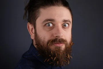Portrait of a bearded man with insects in his beard against a dark background, quirky and unique concept for creative projects. © alesmunt