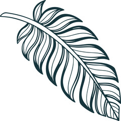 Obraz premium single tropical leaf line art icon on transparent background