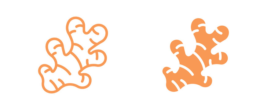 Ginger root icon set. Fresh ginger spice ingredient icon, organic food and herbal medicine concept. Vector illustration.