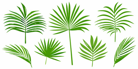 A collection of vibrant green palm leaves against a white background © Tapan