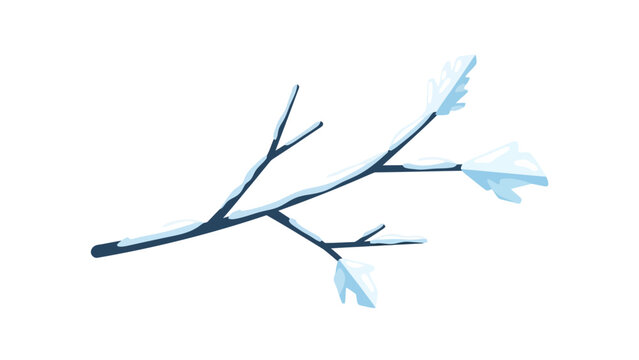 Blue Arrows on Branch.