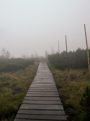 Fototapeta premium Wooden hiking trail in the mountains. Foggy landscape during the hike.