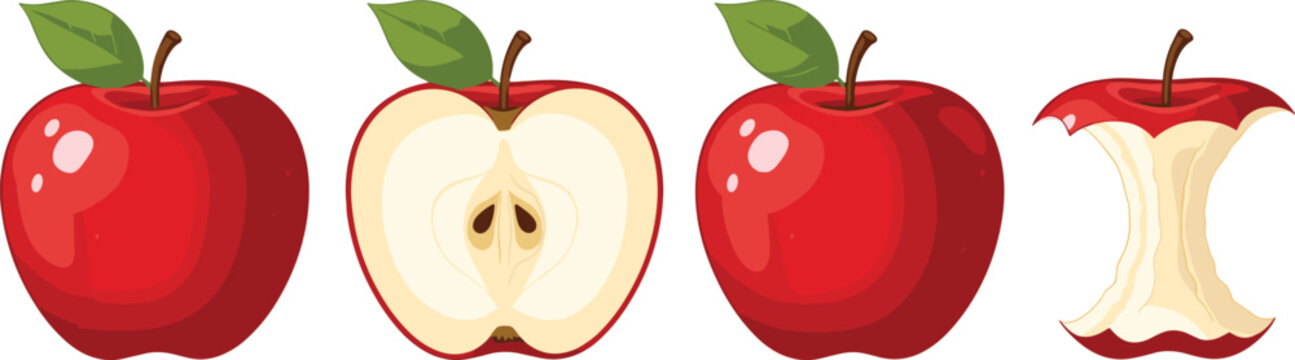 Red apple set. Whole apple, sliced half and eaten core with leaf. Fresh healthy fruit vector illustration for food design, grocery packaging, nutrition concept.