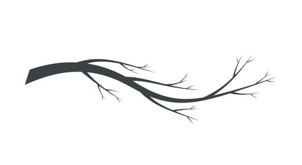 Fototapeta premium Black Tree Branch Silhouette.