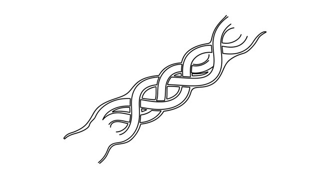 Celtic Knotwork Design Element.