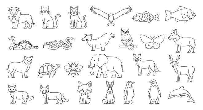 Collection of Various Animals.