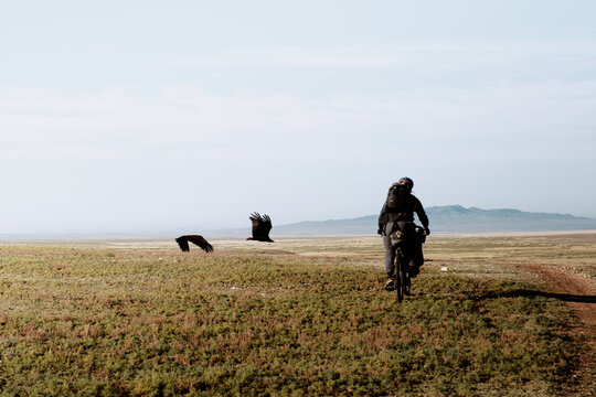 Viaggiatore in bicicletta attraversa la steppa in Mongolia mentre due grossi rapaci gli volano accanto.