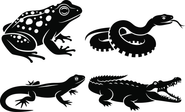 Silhouette illustrations of four reptiles and amphibians