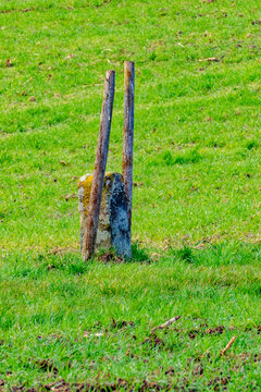 Sichtbar gemachter Grenzstein auf einer Wiese