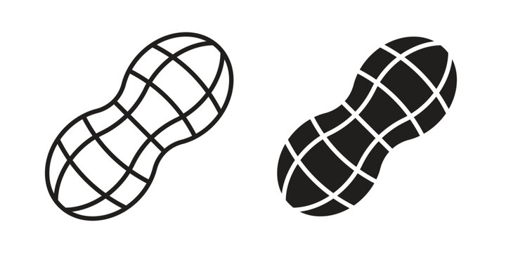 Peanut icon illustration for web design. filled flat icons