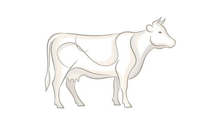 Obraz premium Cow anatomy illustration with labeled body parts