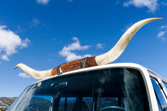 New Mexico, United States. Steer horns as roof ornament on a pick up truck