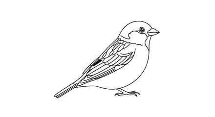 Fototapeta premium small bird illustration