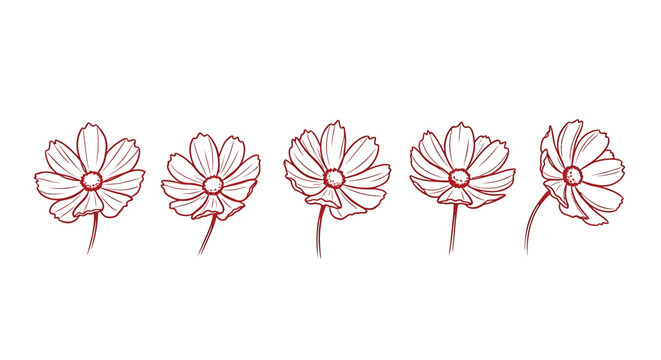 Set of 5 red flower icons vector