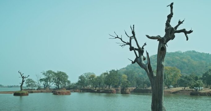Cinematic view of a fallen tree in a quiet lake, reflecting deep emotions of loneliness, sadness, and an inner state of mind