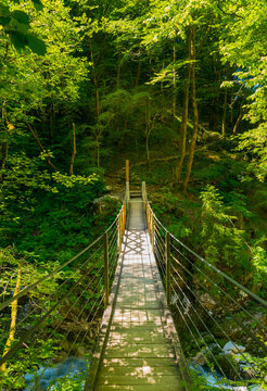 Wooden suspended bridge with steep hiking pathway in lush forest in the beautiful Tolmin Gorge in Slovenia