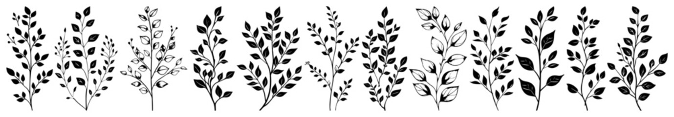 Botanical branch vector icon set Collection of hand drawn leaf and plant silhouettes for borders and dividers © Aisha Kudorova