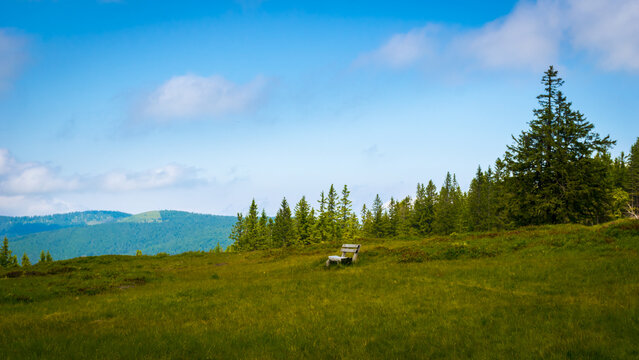 Panoramic view of wooden bench on a meadow on the path leading to Rogla ski resort on Pohorje, Slovenia 