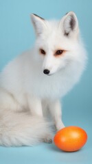 Obraz premium Charming easter fox: a delightful greeting image. Press photo. Captivating easter card: fox, egg, and blossoms in spring setting. True vision. Raw beauty.